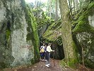 Wanderung um den Wolfgangsee (4)